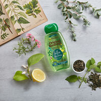 Té Verde & 5 Plantas Champú Detox  300ml-169649 Té Verde & 5 Plantas Champú Detox  300ml-169649 2